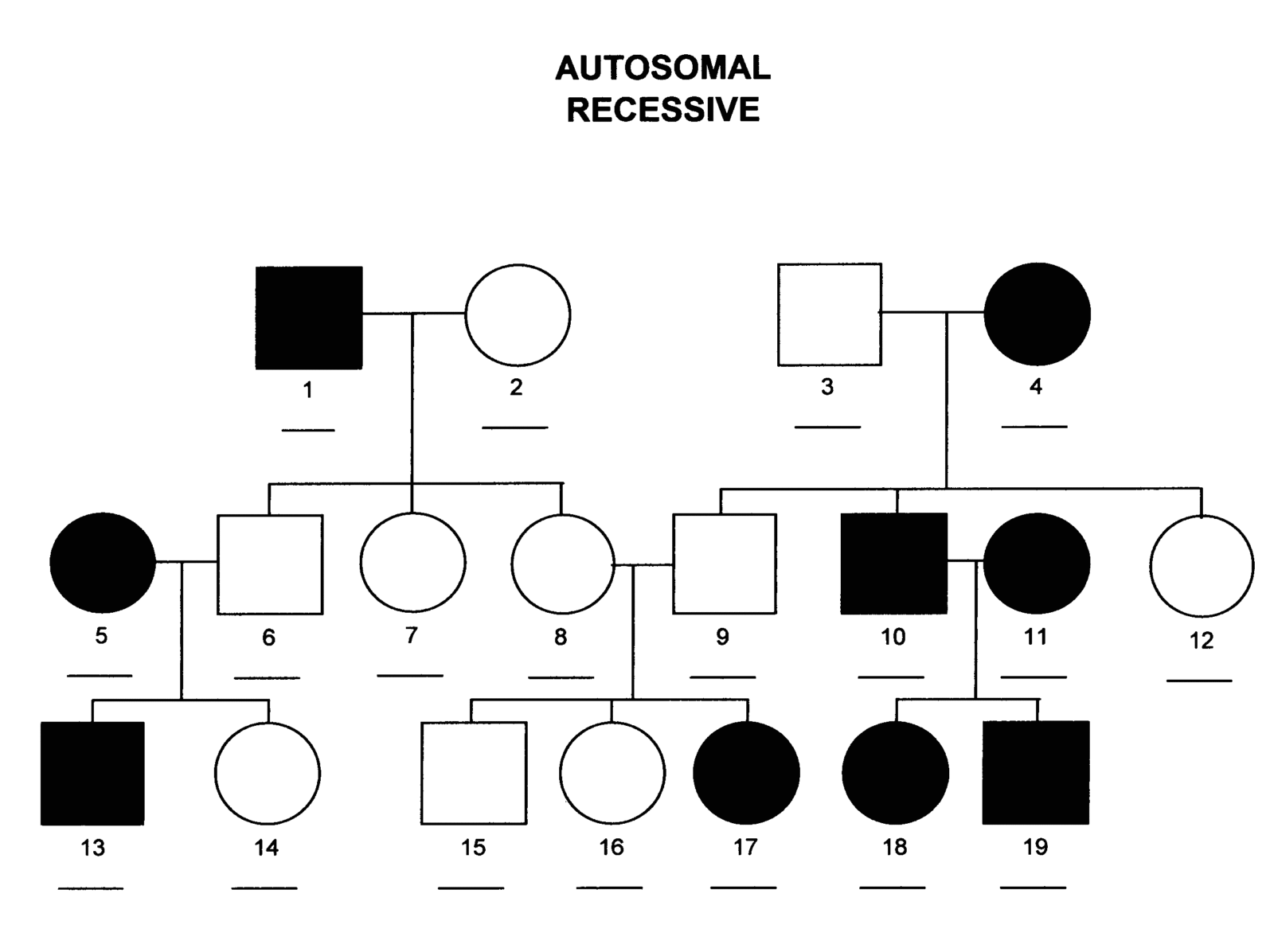 autosomal-recessive-inheritance-michigan-genetics-resource-center